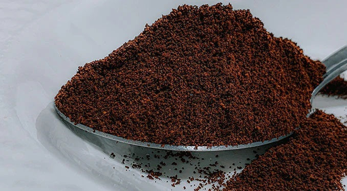 El Salvador Coffee